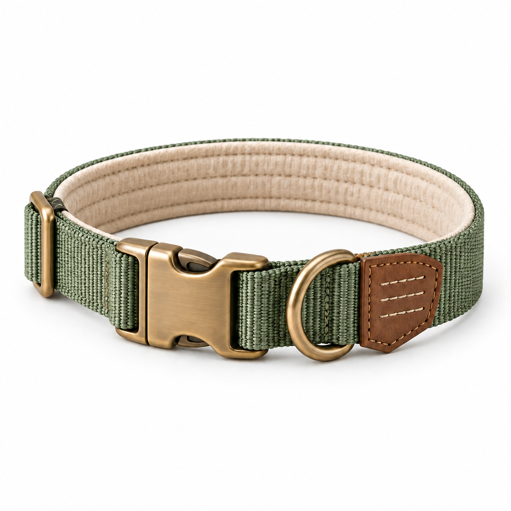 Ranger Three-Line Dog Collar — white-background product view