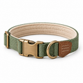 Ranger Three-Line Dog Collar — white-background product view
