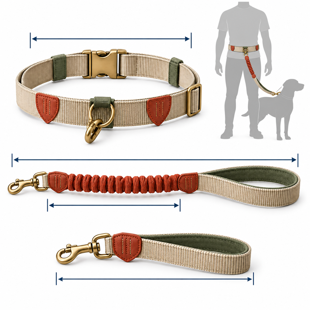Roam Hands-Free Waist Leash — size and proportion guide