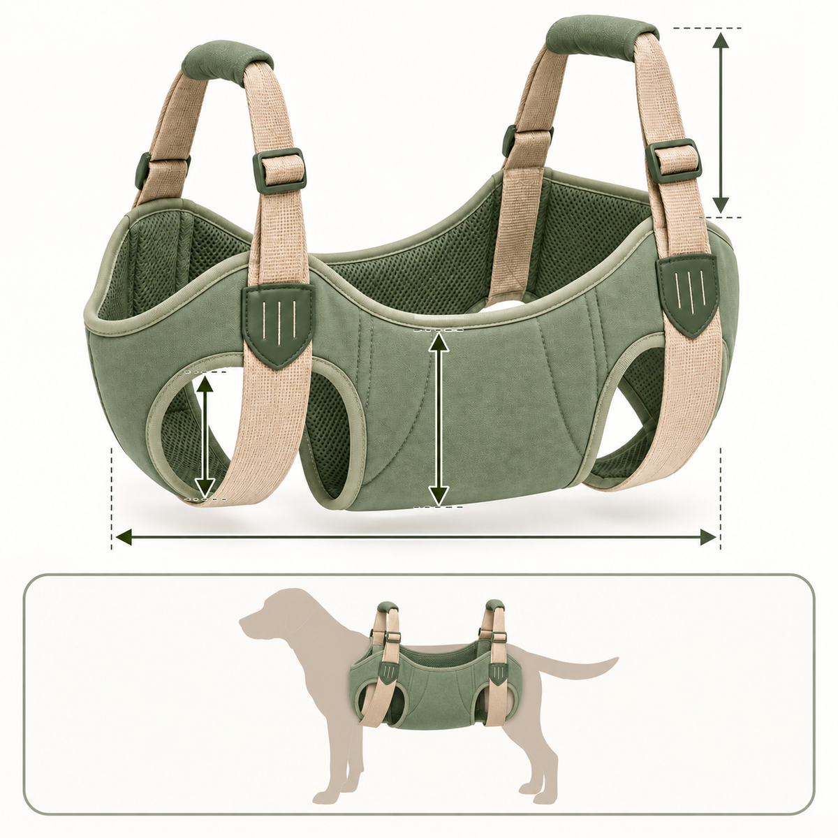 Steady Lift Support Sling — size and proportion guide